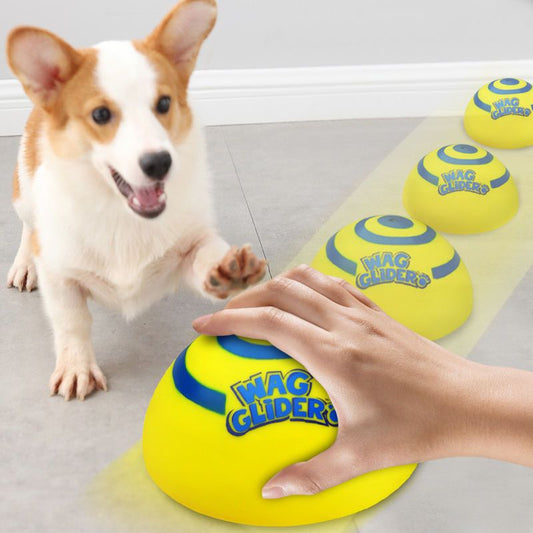 Wag Glider（ワグ・グライダー）新登場！ 限られたスペースでも、愛犬と特別な時間を。